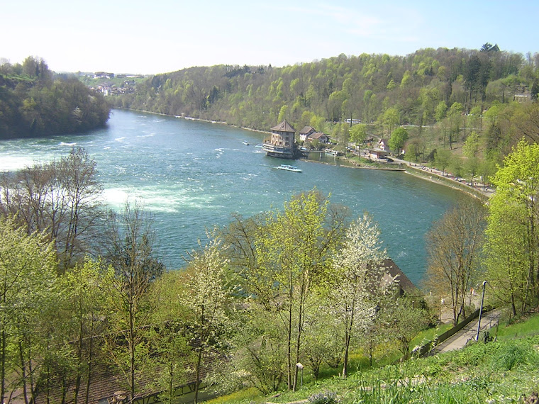Swiss Rhine Idylle