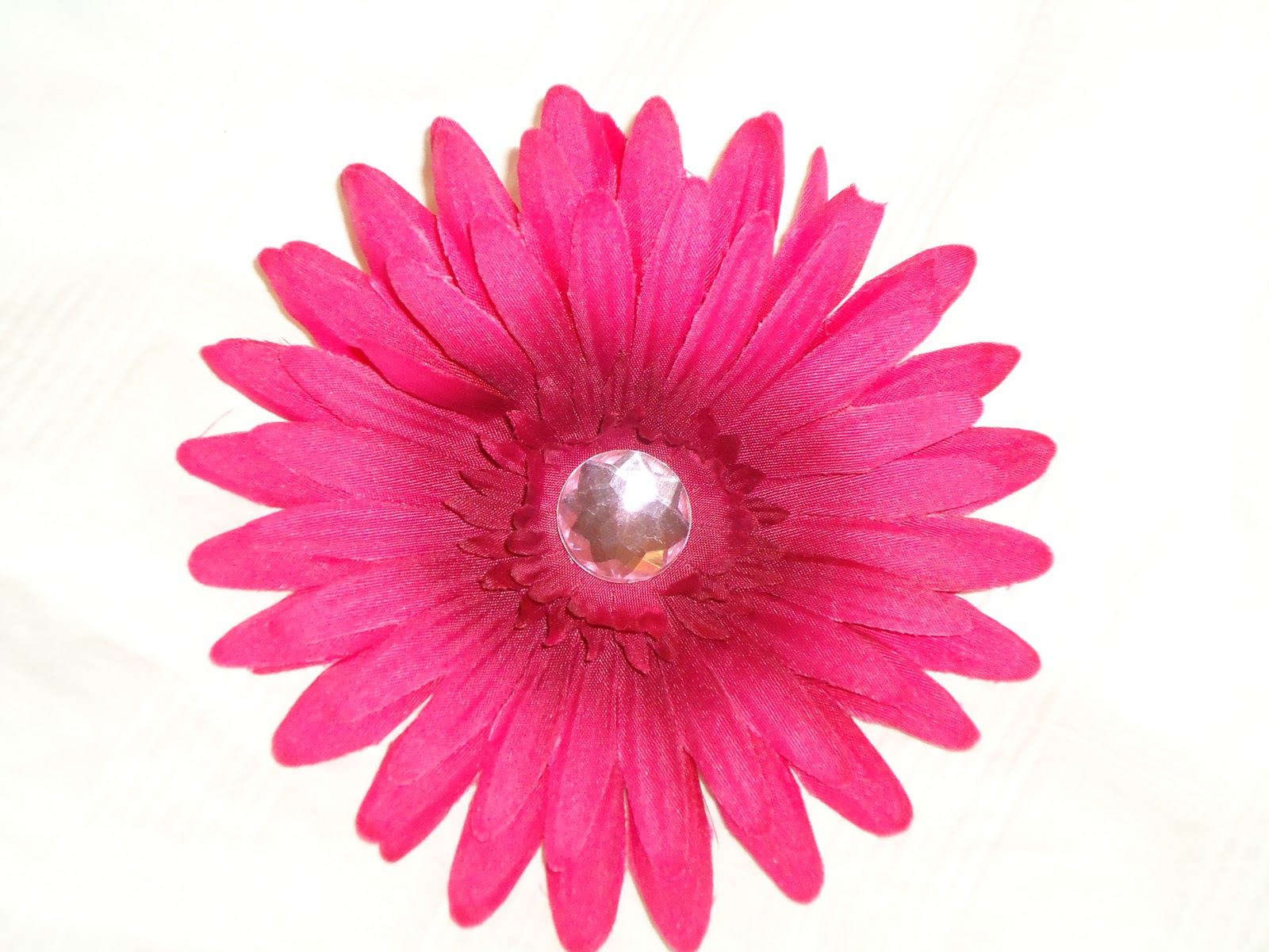 gerber daisy pictures
