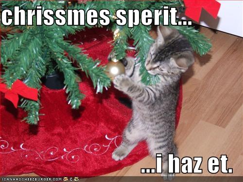 http://2.bp.blogspot.com/_srdFdcxrkCY/TP7xHIoQ_rI/AAAAAAAAAuA/pnjRbrYQ8m8/s1600/christmas-kitteh.jpg