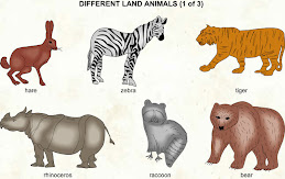 english to telugu meaning words pdf