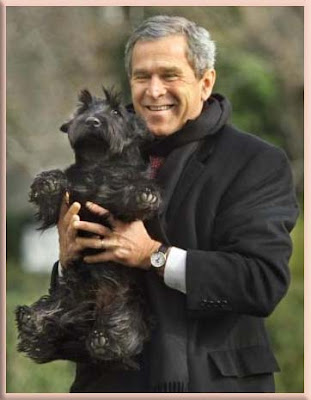 Bush Plane For Sale >> President Bush with "Scottish Terriers" Bush Plane For Sale >> President Bush with "Scottish Terriers"