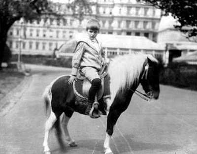 Pet Pedia: Theodore Roosevelt