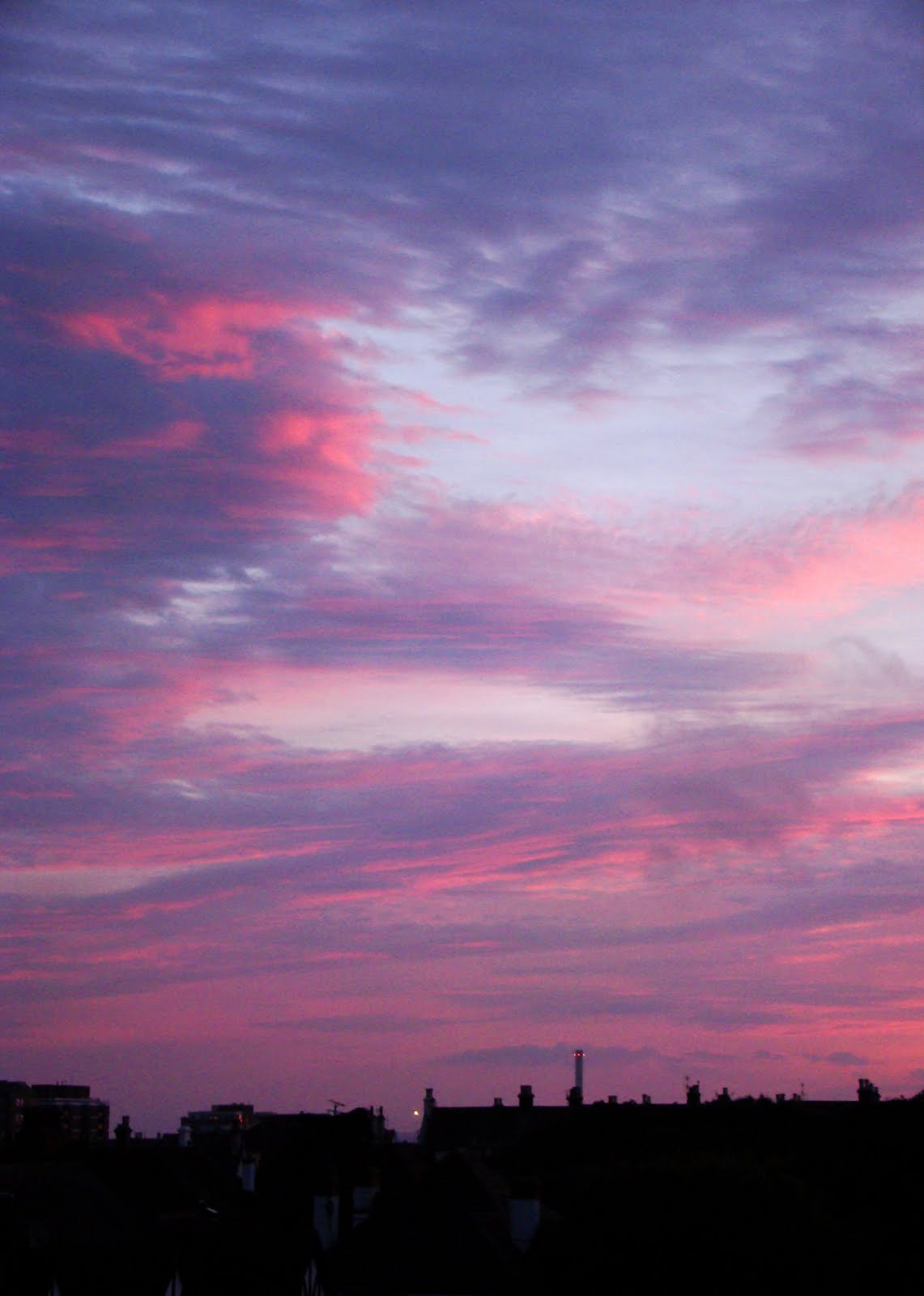 Hove Daily Photo July 2010