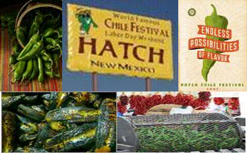 [HatchWeek+Banner.gif]