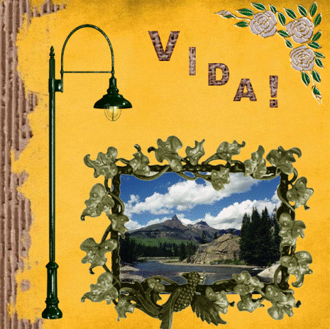 [vida.gif]
