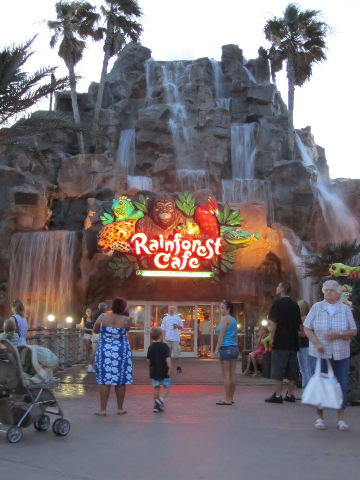 Rainforest Cafe Galveston Texas Cafe