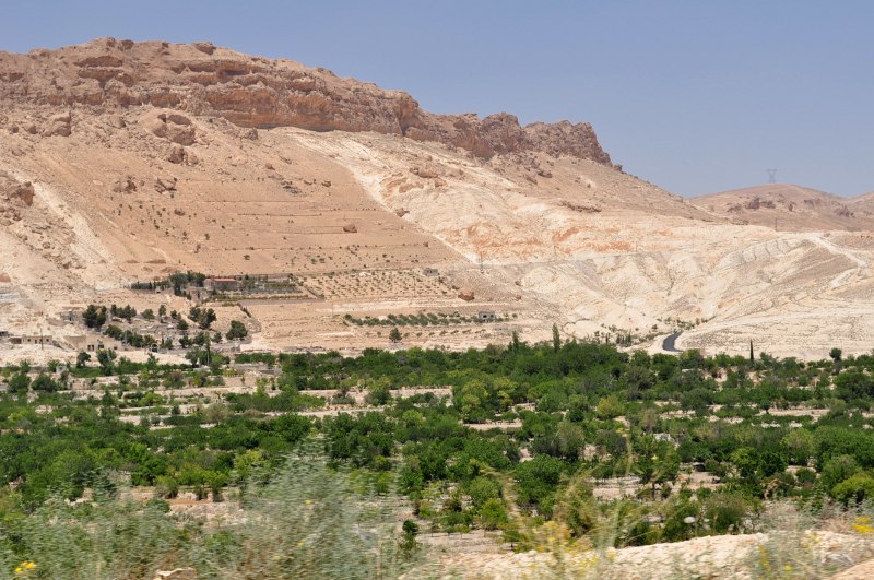 [cDSC_4881.JPG]