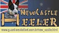 Australia Cattle Dog