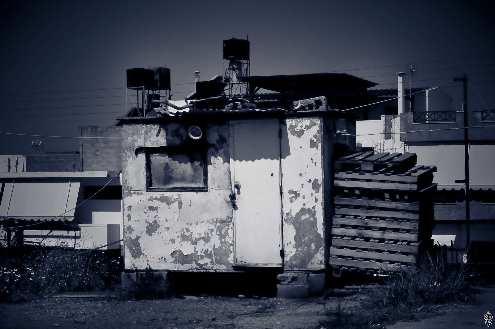 [DSC_3473.jpg]