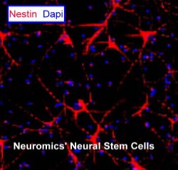 How Proteins Find the Right DNA Sequences