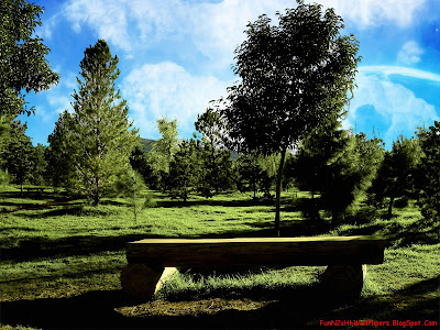 Wallpapers Nature Wallpapers Nature
