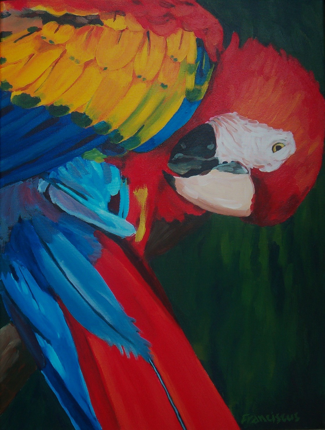 Tim Wootton Wildlife Art Drawing & Painting Birds New Book Release