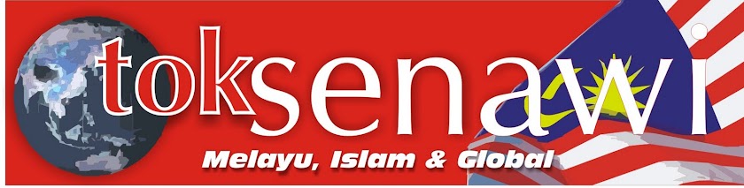 tok senawi