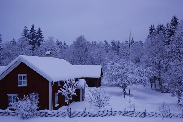 [339+vinter.JPG]