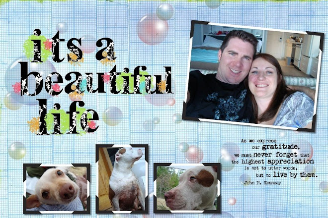 It's a beautiful life.