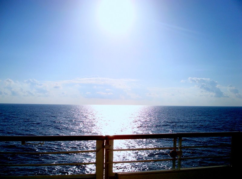 [DSC02035.JPG]