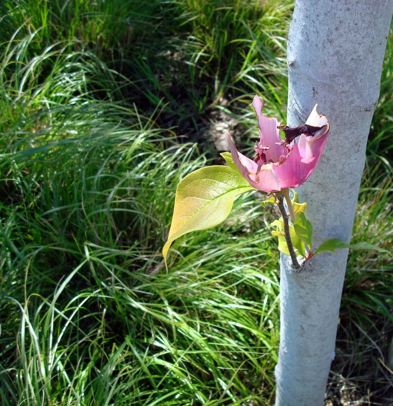 [DSC01461.JPG]