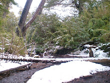 Dia de invierno