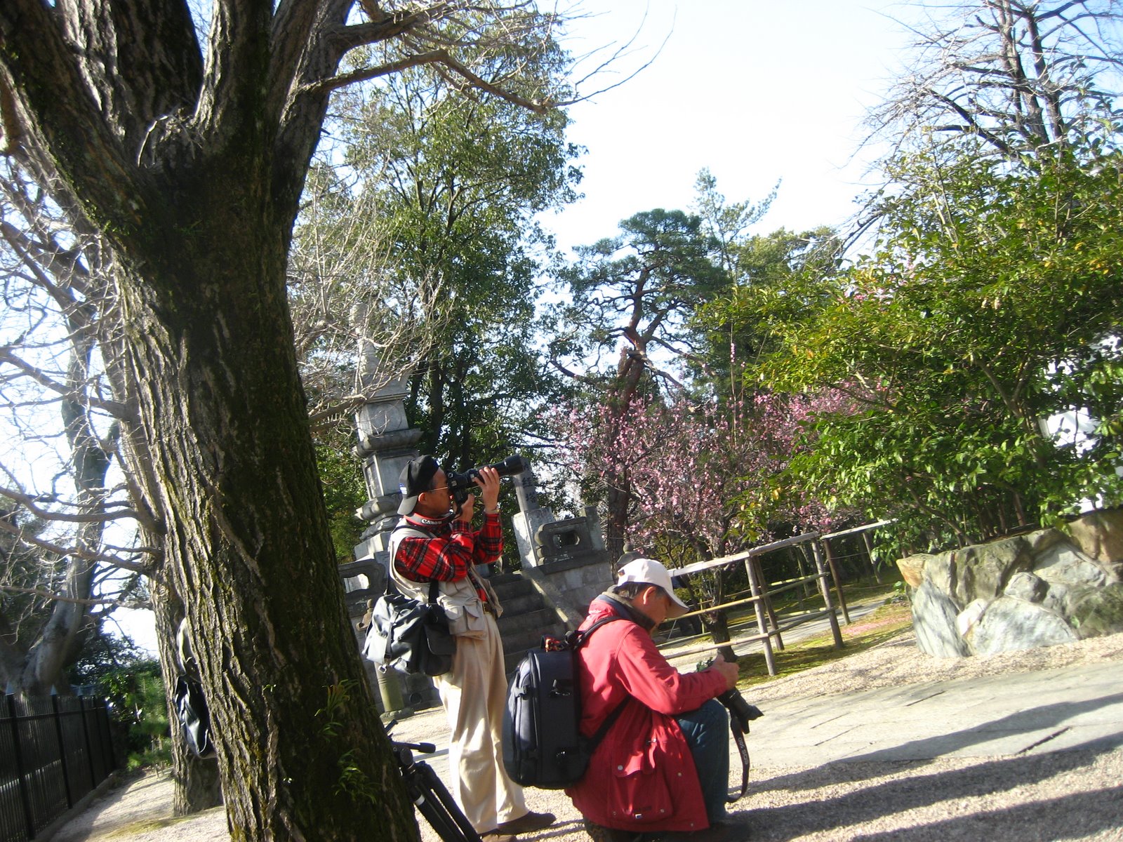 [IMG_2513.JPG]