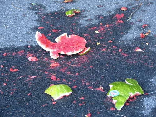 [hoboken-crushed-watermelon-victim.jpg]