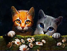 My Photo