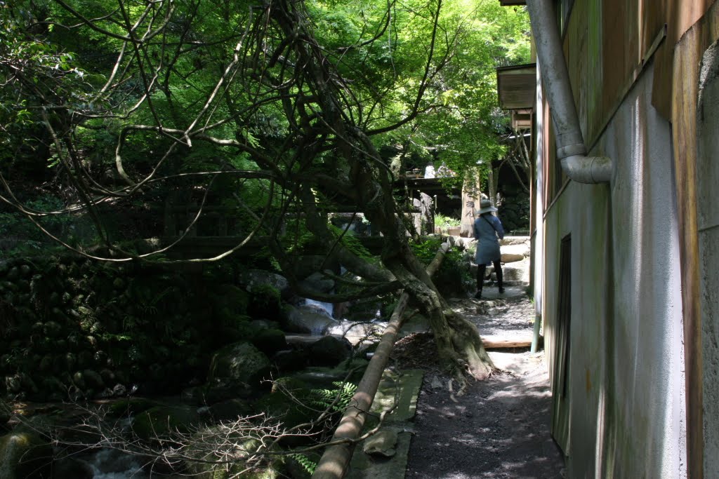 まさおのブログ 裏 秋月 だんごあん