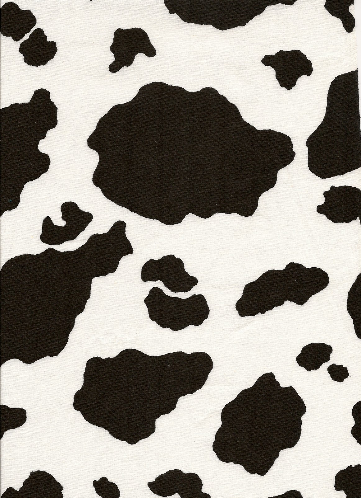 cow print picture