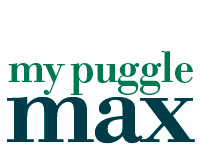 my puggle max