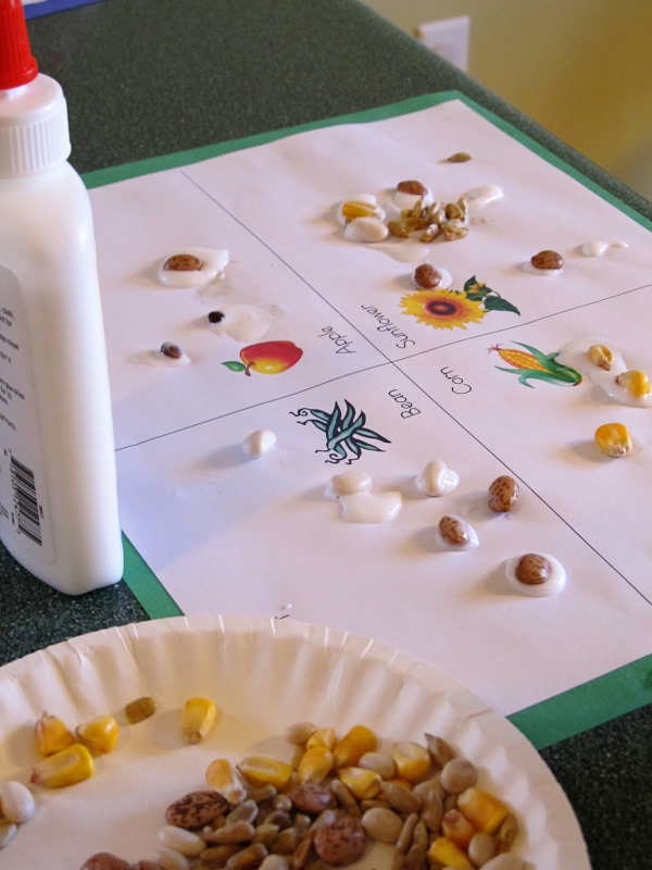 Seed Sorting » Share & Remember Celebrating Child & Home