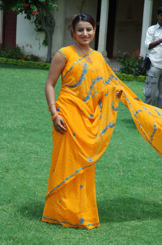 Pooja Gandhi Cute Saree Stills unseen pics