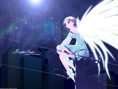 [anime-angel.jpg]