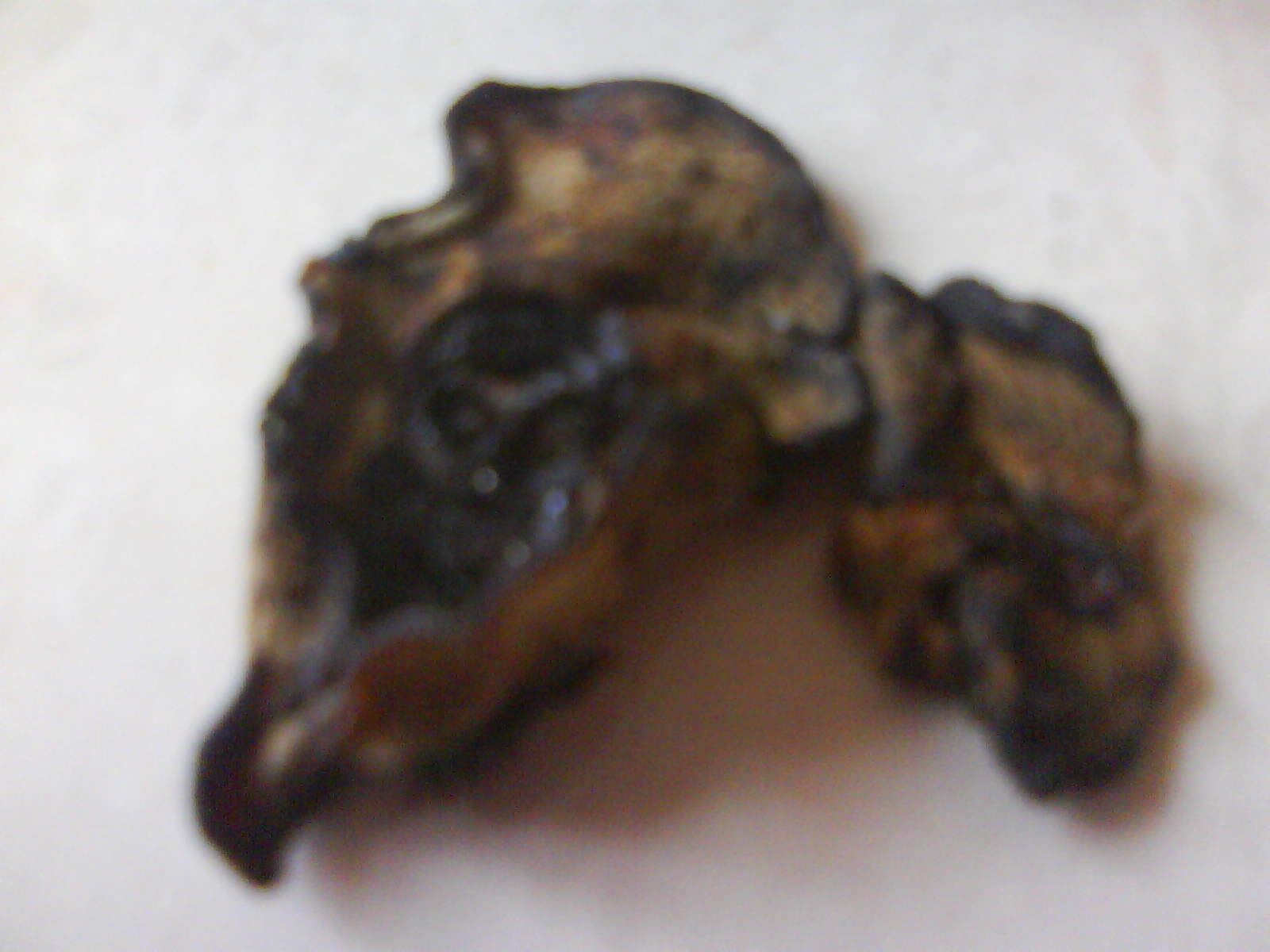 [DSC02476.JPG]
