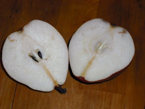 [Slice+and+Core+pear.jpg]