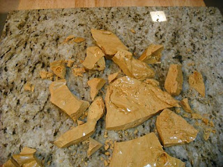 Taking Care Of A Pet Lizard