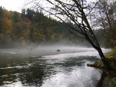 Link to Kathy's McKenzie River Website: