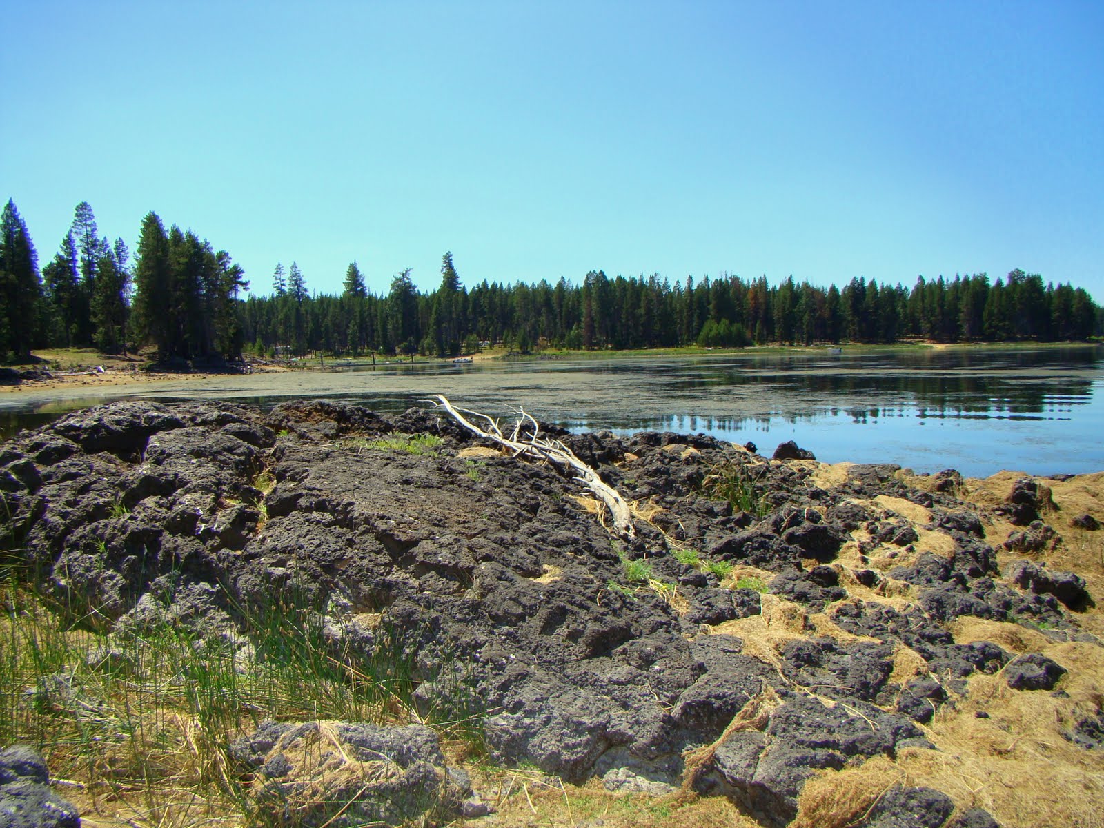 Central Oregon North Twin Lake, Twin Lakes Resort and Crane Prairie Resort
