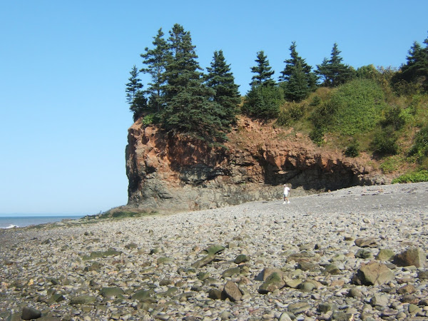 chipman brook, low tide - bay of fundy stop