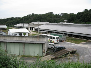 [IMG_0446.JPG]