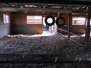 [IMG_0579.JPG]