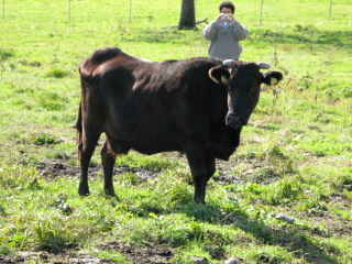 [IMG_0588.JPG]