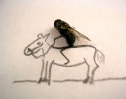 Horse Fly