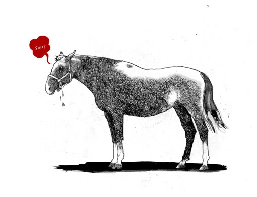 david foldvari: another horse, another muffhead