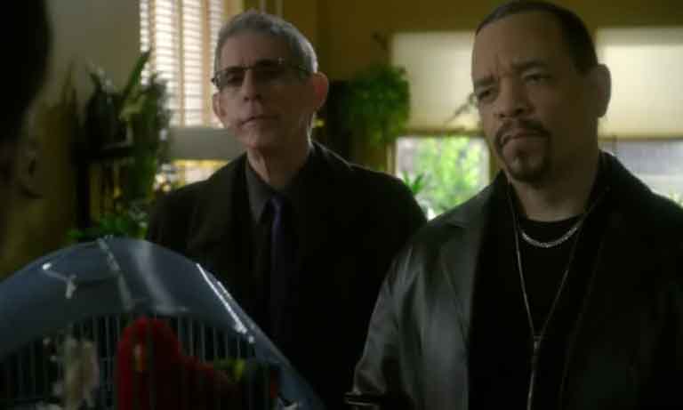 Fin Svu
