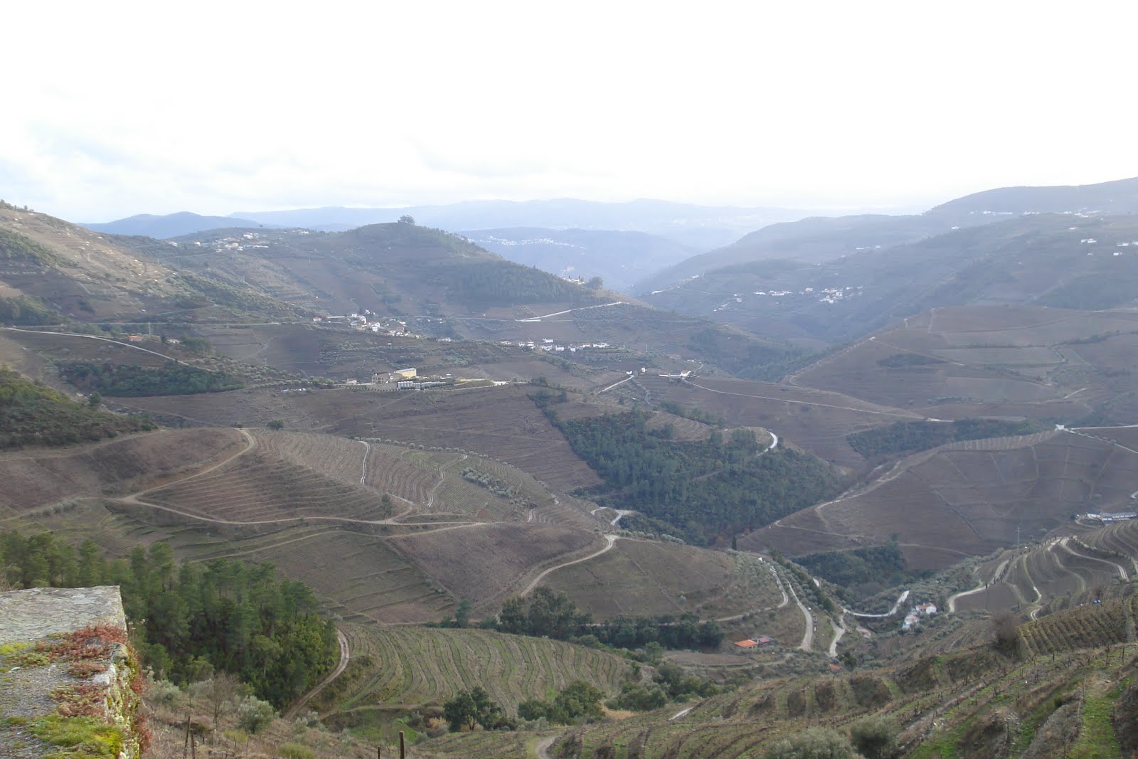 [DSC02250.JPG]