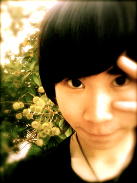 [DSC00181.JPG]