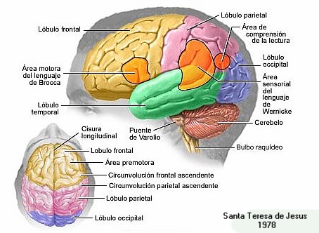 external image afasinuno.jpg external image afasinuno.jpg