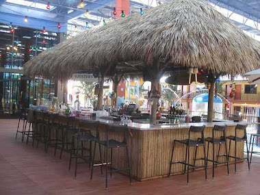 my favorite tiki hut pics