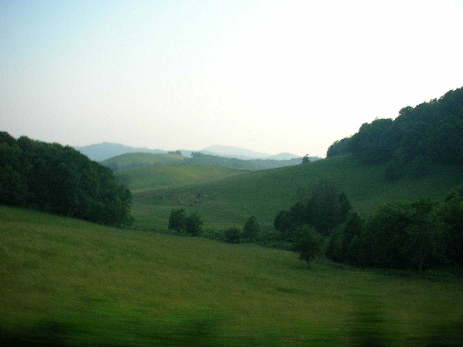 [DSCN0811.JPG]