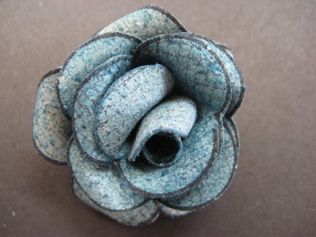 [rose+3_001.JPG]