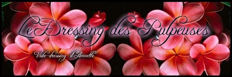 Le Dressing des Pulpeuses